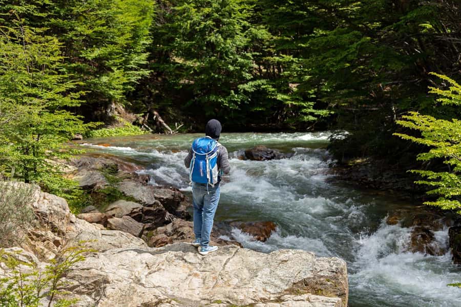 From Ushuaia: Discover Tierra del Fuego National Park - Pipo River and Mount Susana