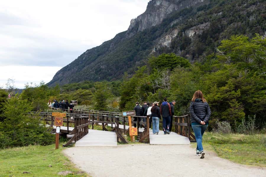 From Ushuaia: Discover Tierra del Fuego National Park - Lake Acigami and the subantarctic forest