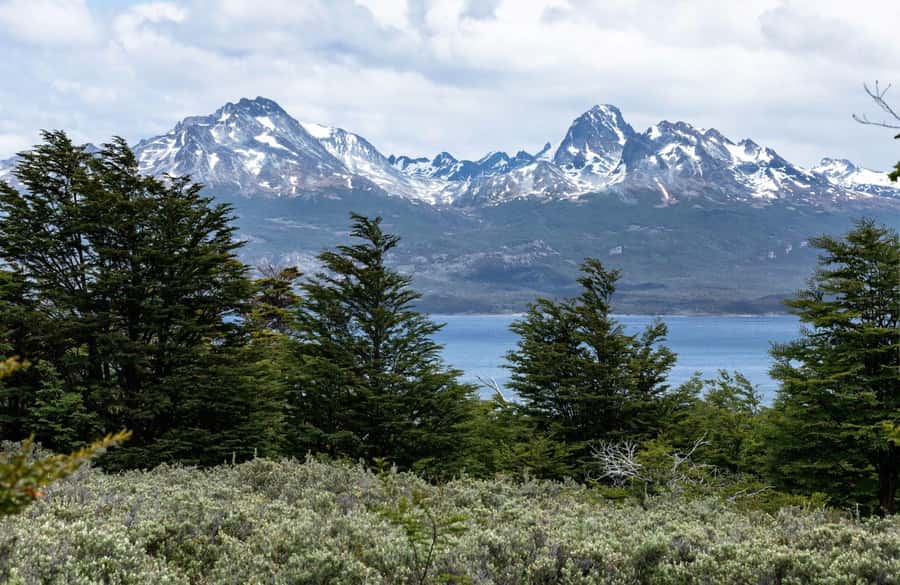 From Ushuaia: Discover Tierra del Fuego National Park - Alakush Visitor Center and Laguna Verde