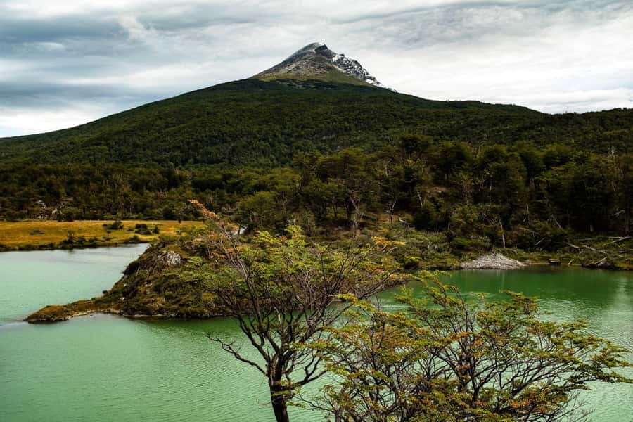 From Ushuaia: Discover Tierra del Fuego National Park - Lapataia Bay and the end of National Route 3