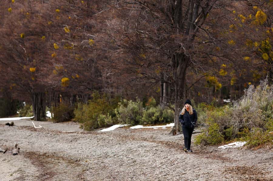 From Ushuaia: Discover Tierra del Fuego National Park - Wildlife and birdwatching along the route