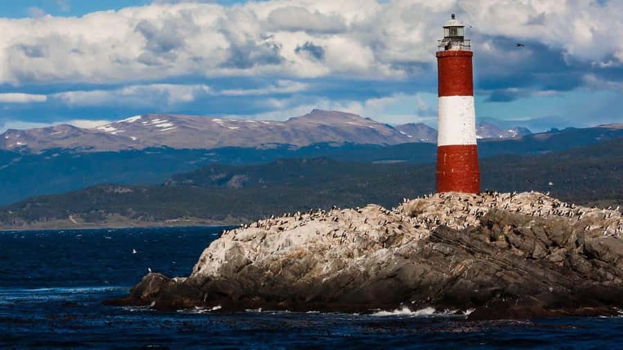 From Ushuaia: Penguin Watching Tour by Catamaran - Catamaran comfort, crowds, and timing