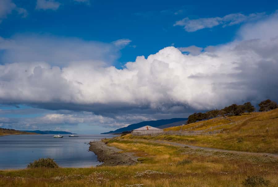 From Ushuaia: Penguin Watching Tour by Catamaran - Should you book this penguin tour?