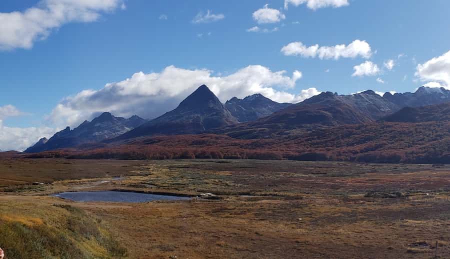 From Ushuaia: Private Fagnano Lake 4WD Tour - Winter centers, sled dogs, or local gin