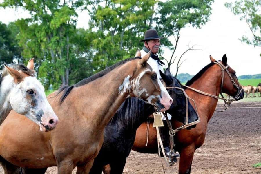 Full-Day at Santa Susana Ranch with BBQ, Drinks and Show - Who will enjoy Santa Susana most?