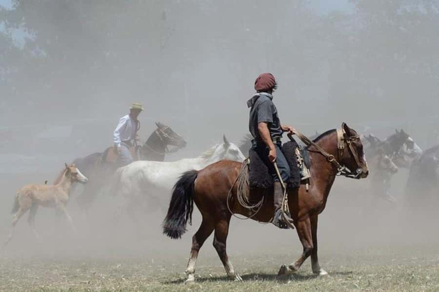 Full-Day at Santa Susana Ranch with BBQ, Drinks and Show - Practical details that can make the day easier
