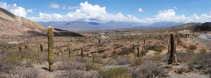 Full-day Cachi and Los Cardones National Park from Salta - Key points to know before booking