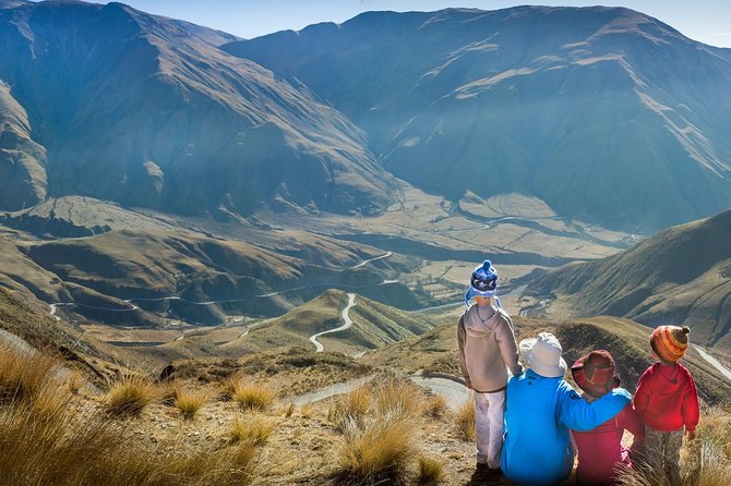 Full-day Cachi and Los Cardones National Park from Salta - Los Cardones National Park in 30 to 45 minutes