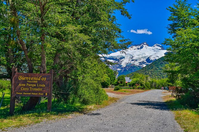 Full Day Cerro Tronador: Eternal Snow and Hanging Glaciers - Through the Vuriloches Valley to Ventisquero Negro