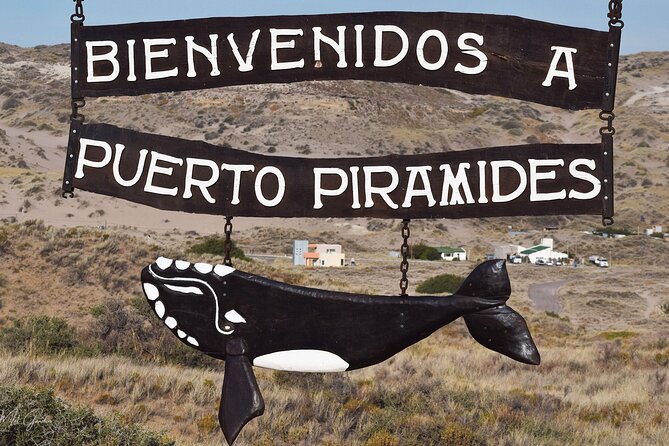 Full Day Peninsula Valdes Experience - optional Whale Watching - Three hours in Puerto Piramides
