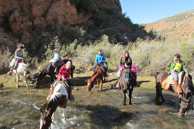 Full day ride at the foot of The Andes - Why this Mendoza horseback tour feels different