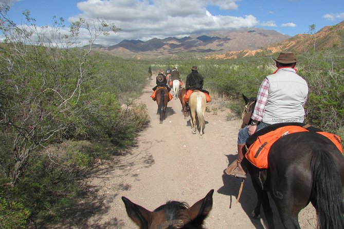Full day ride at the foot of The Andes - Asado beside the river