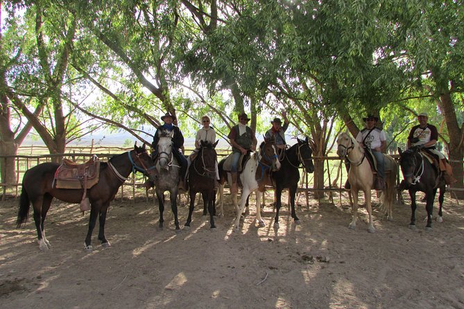 Full day ride at the foot of The Andes - What the price includes, and what it is worth