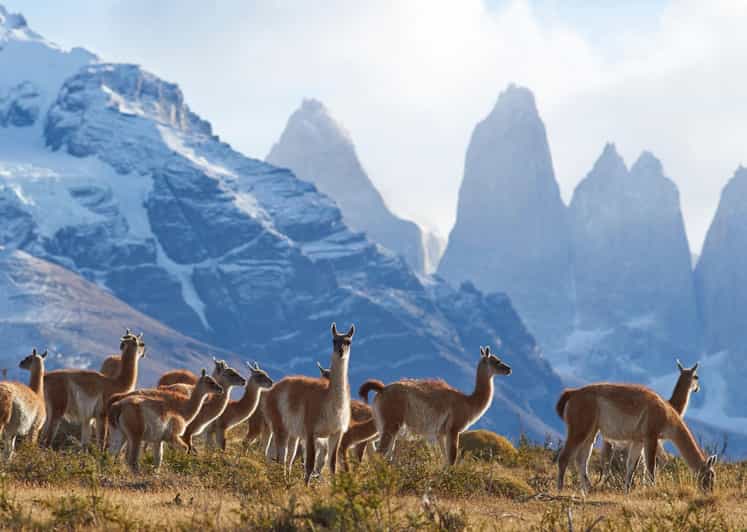 Full-Day Torres del Paine National Park from El Calafate - The return through Cerro Castillo