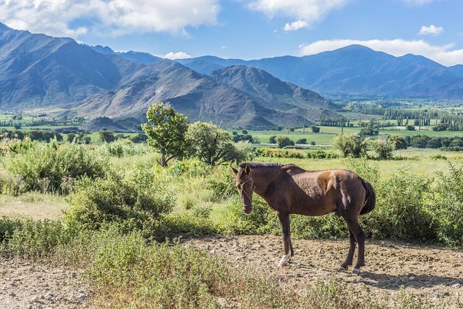 Full-Day Tour Cafayate Calchaqui Valleys with Wine - Key Points Before You Book