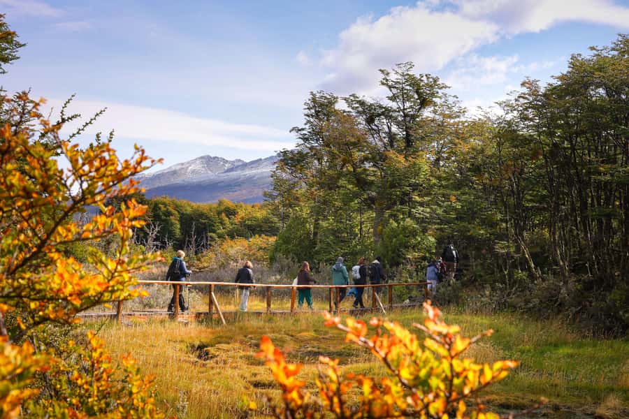 Full Day Trip to Tierra del Fuego National Park - Key points to know before you book