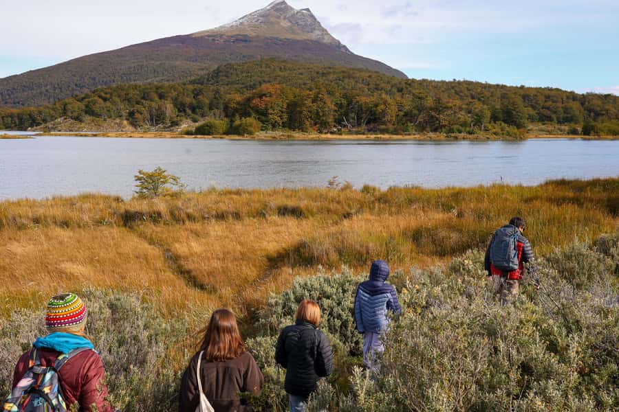 Full Day Trip to Tierra del Fuego National Park - Pampa Alta and Ensenada: the first serious walk