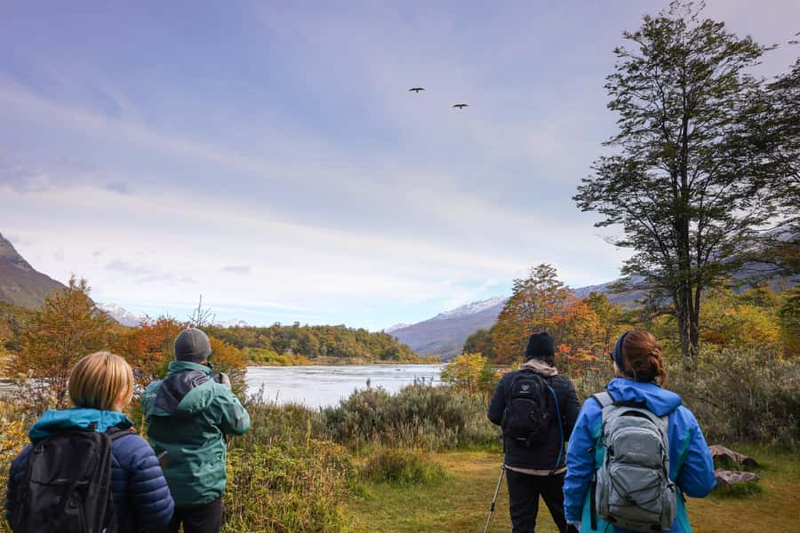 Full Day Trip to Tierra del Fuego National Park - Lapataia Bay and the end of Route No. 3