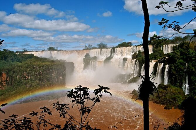Full Tour to Brazilian Falls + Bird Park ! - Parque das Aves, a close look at Atlantic Forest wildlife
