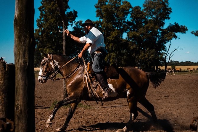 Gaucho Day Trip from Buenos Aires: Santa Susana Ranch - Arriving at Santa Susana with empanadas and wine