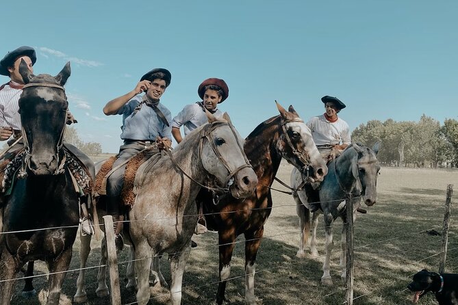 Gaucho Experience: A Day Trip to Don Silvano Ranch - Leaving Buenos Aires for the pampas