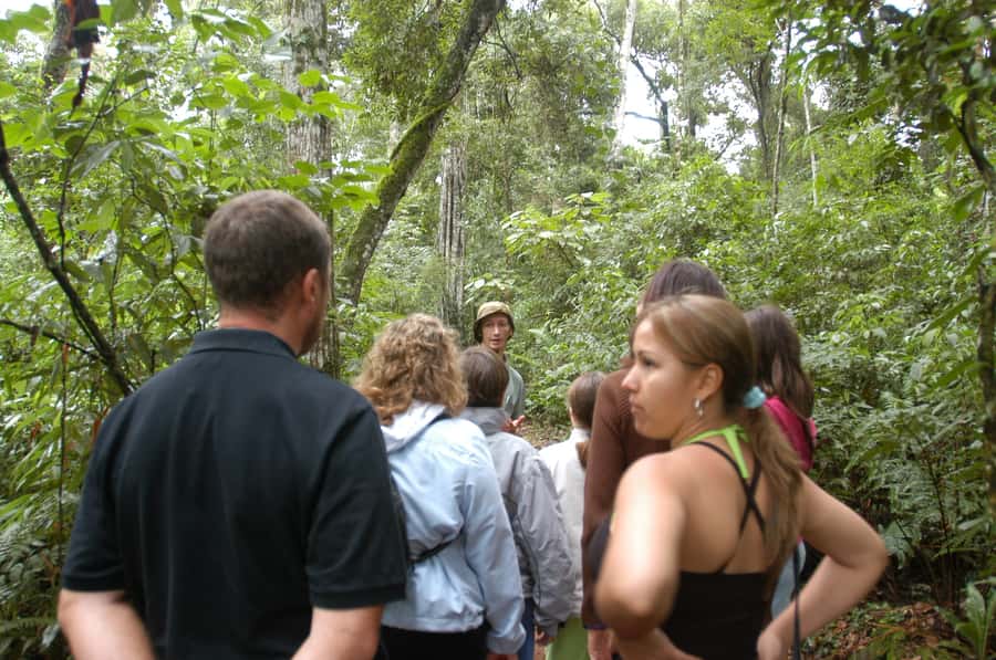 Half-Day Iguazú Forest Adventure - Key points at a glance