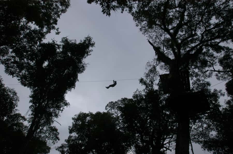 Half-Day Iguazú Forest Adventure - Rappelling beside waterfalls and into a natural pool
