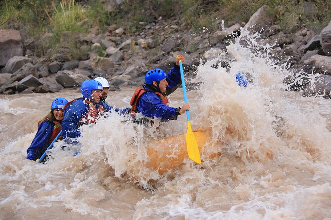 Half-Day Rafting Adventure on the Mendoza River - From Mendoza vineyards to Potrerillos