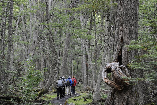 Half-Day Tierra del Fuego National Park with Lunch and Drinks - Is $108 a fair price?