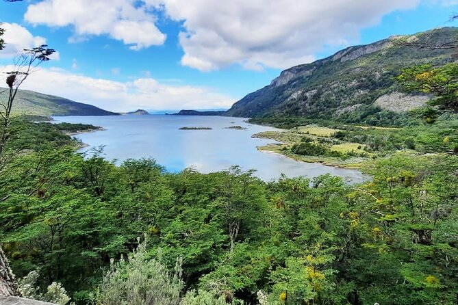 Half-Day Tierra del Fuego National Park with Train - Why this half-day tour works in Ushuaia