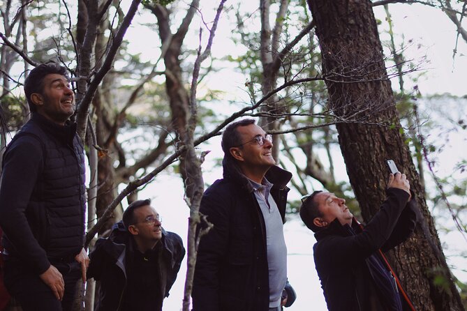 Half-Day Tierra del Fuego National Park with Train - My verdict on the End of the World Train tour