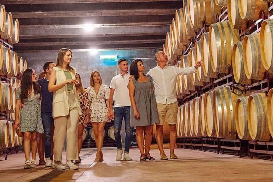 Half Day Tour of Wineries and Olive Oil from Mendoza - Why Maipú works for a short Mendoza tour
