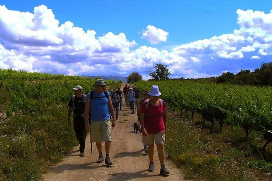 Half Day Tour of Wineries and Olive Oil from Mendoza - The olive oil factory adds a useful change of pace