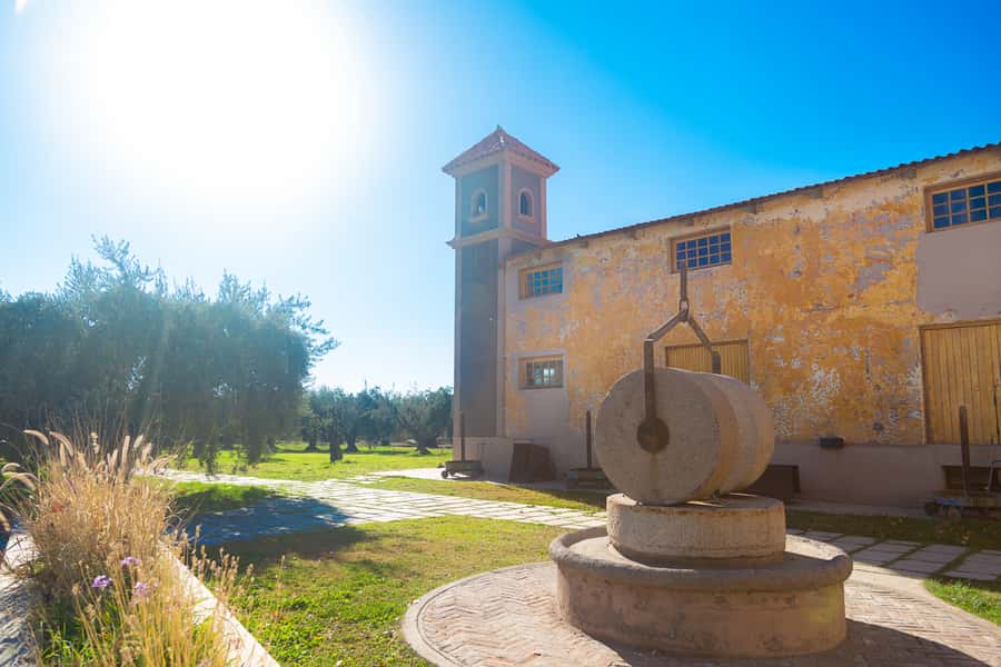 Half Day Tour of Wineries and Olive Oil from Mendoza - Transport, timing, and the pace of the day