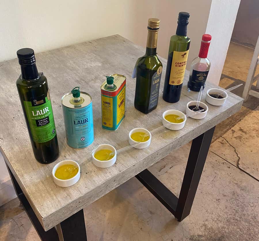 Half Day Tour of Wineries and Olive Oil from Mendoza - Language support and the quality of the introduction