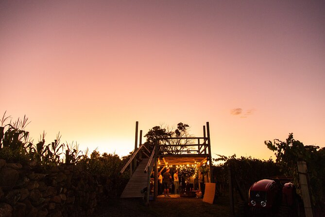 Harvest Evening - Grape Pisa at Vinhos Cristofoli - Why this harvest evening feels different