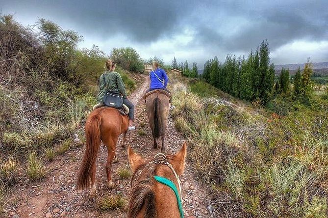 Horseback ride through vineyards followed by gourmet lunch - Key points before you book