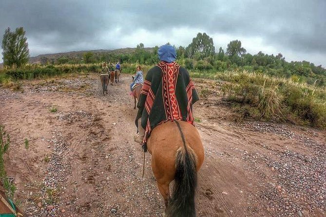 Horseback ride through vineyards followed by gourmet lunch - Why this Mendoza combination works so well