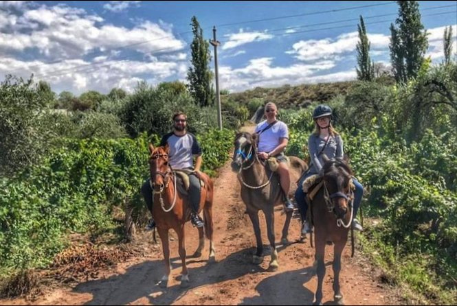 Horseback ride through vineyards followed by gourmet lunch - Who will get the most from this tour