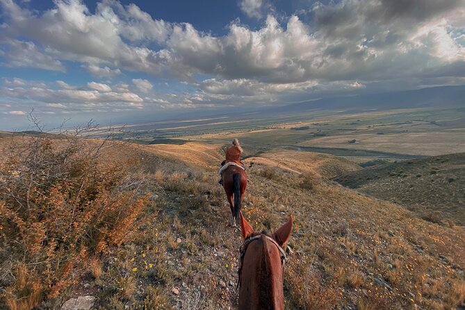 Horseback riding and barbecue in a private ranch - La Carrera, Mendoza - El Pico Palma ranch and its 250-year family story