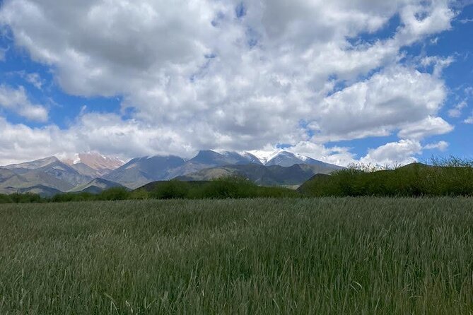 Horseback riding and barbecue in a private ranch - La Carrera, Mendoza - A two-and-a-half-hour ride on Argentine Criollo horses
