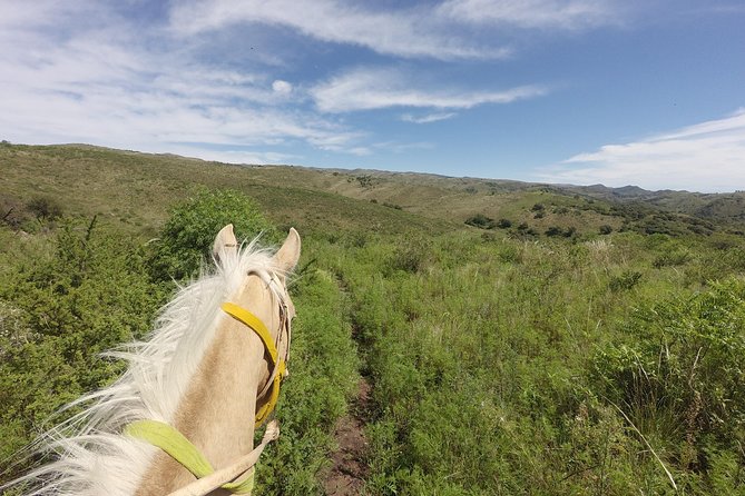 Horseback riding through the Sierras - Choosing a horse and preparing for the first ride