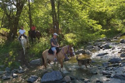 Horseback riding through the Sierras