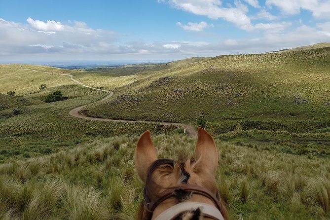 Horseback riding through the Sierras - A country lunch worth planning around