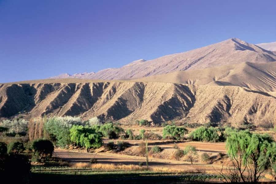 Humahuaca Valley Multicultural Tour from Salta - Key points to know before booking