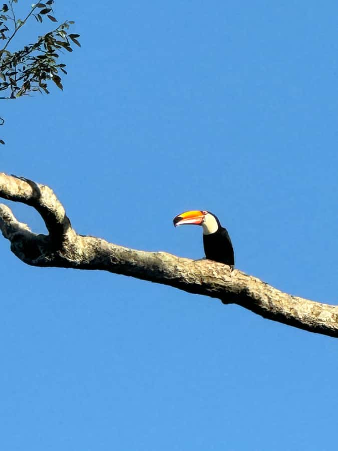 Iguassu Falls: Private Tour Argentina side - Practical rules for a smoother visit