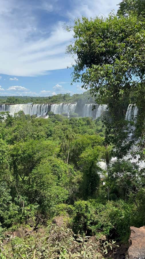 Iguassu Falls: Private Tour Argentina side - The Upper Circuit from above