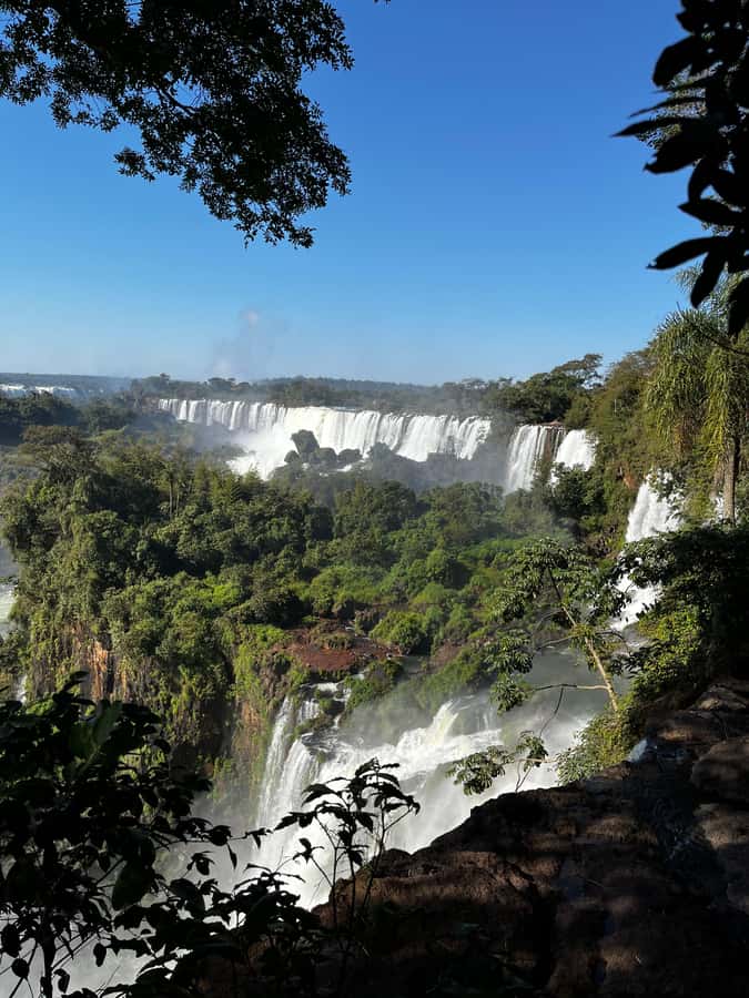 Iguassu Falls: Private Tour Argentina side - What the guide adds to a rainforest visit