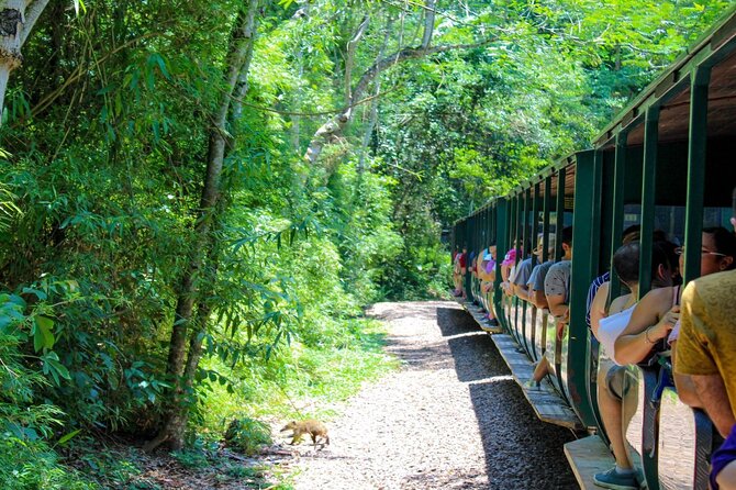 Iguazu Falls: Argentinian Side with Boat Ride, Jungle-truck and Train - Jungle-truck ride through the rainforest