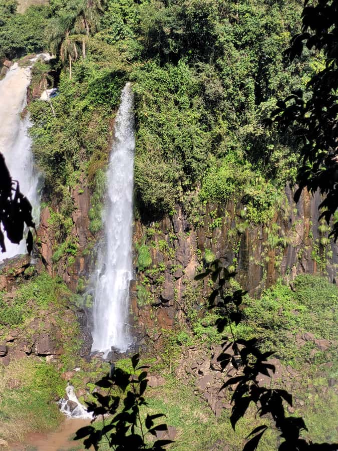 Iguazu Falls: Guided Tour in Argentinean Side - Key Points Before You Book